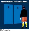 MEANWHILE IN SCOTLAND.jpg